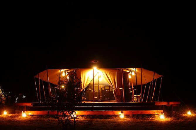 Classic Luxury 4 X 4 Masai Mara Safari - The guide makes the difference
