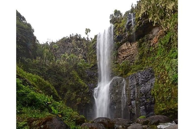 Climbing Mount Kenya 5 Days Via Chogoria Route - Day 5: Sirimon Gate and the return to Nairobi