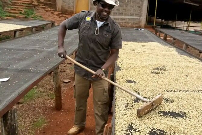 Coffee farm tour, coffee roasting and tasting experience - The people who shape the experience