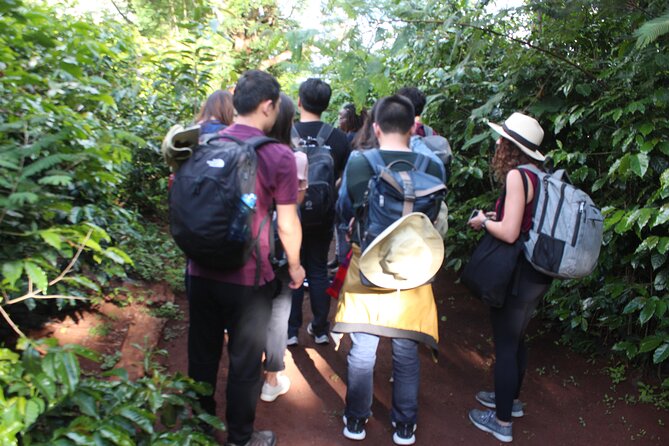 Coffee farm tour, coffee roasting and tasting experience - Is two hours enough?