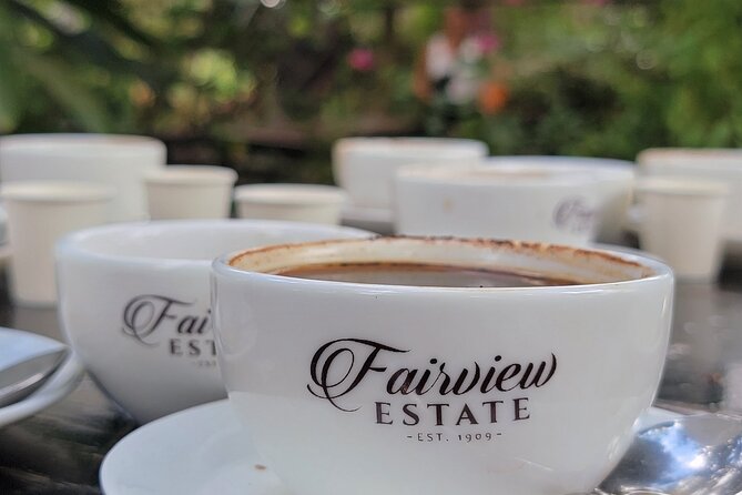 Coffee Farm Tour (Fairview) - Why Fairview makes coffee worth a half-day