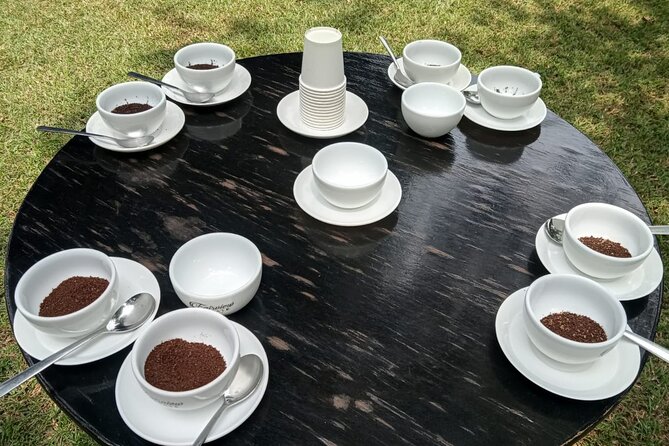 Coffee Farm Tour (Fairview) - From cherry to green bean