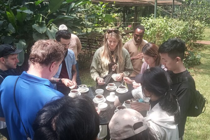 Coffee Farm Tour (Fairview) - Timing, comfort, and practical details