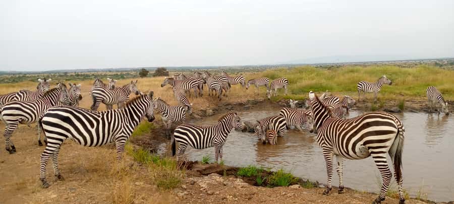 Crescent Island And Boat Ride Day Trip - The two-hour road from Nairobi to Lake Naivasha
