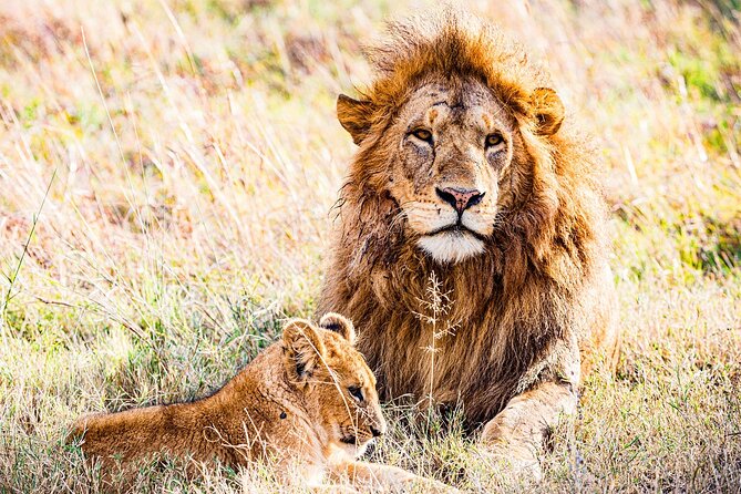Daily departures 3 days masai mara by landcruiser - From Nairobi to the Great Rift Valley