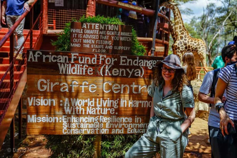 David Sheldrick Wildlife Trust & Giraffe Center with Lunch - Feeding giraffes at the Giraffe Centre