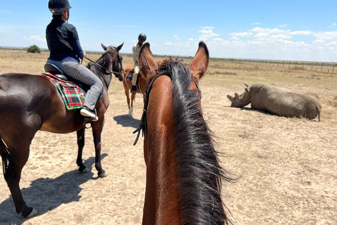 Day safari to Olpejeta Rhino conservancy - Leaving Nairobi at 5:30 a.m.