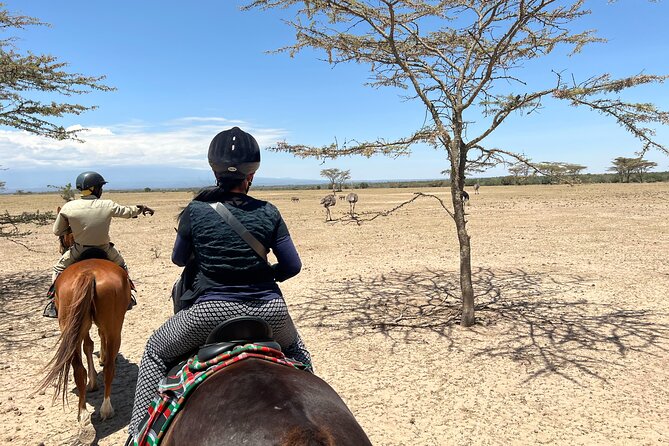 Day safari to Olpejeta Rhino conservancy - The chimpanzee sanctuary and its human connection