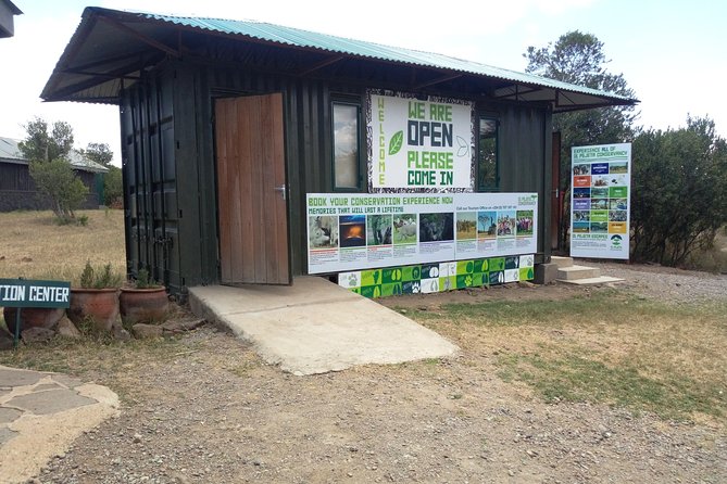 Day safari to Olpejeta Rhino conservancy - Meeting the white rhino families