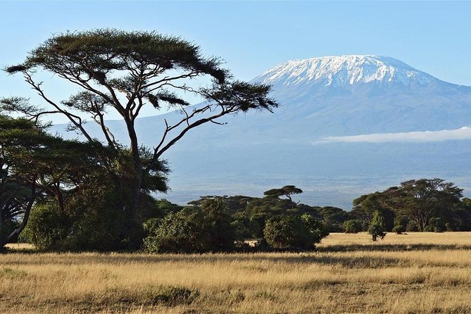 Day Tour - Amboseli National Park From Nairobi - Who Will Enjoy This Tour Most