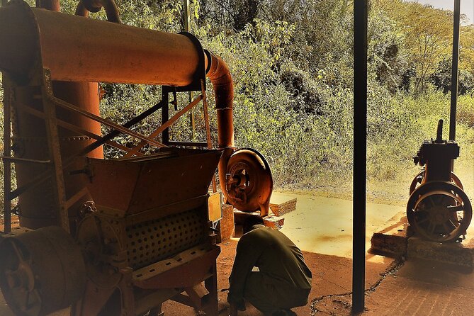 Day Tour Giraffe Center, Karen blixen and Lunch at Carnivore - What the private format changes