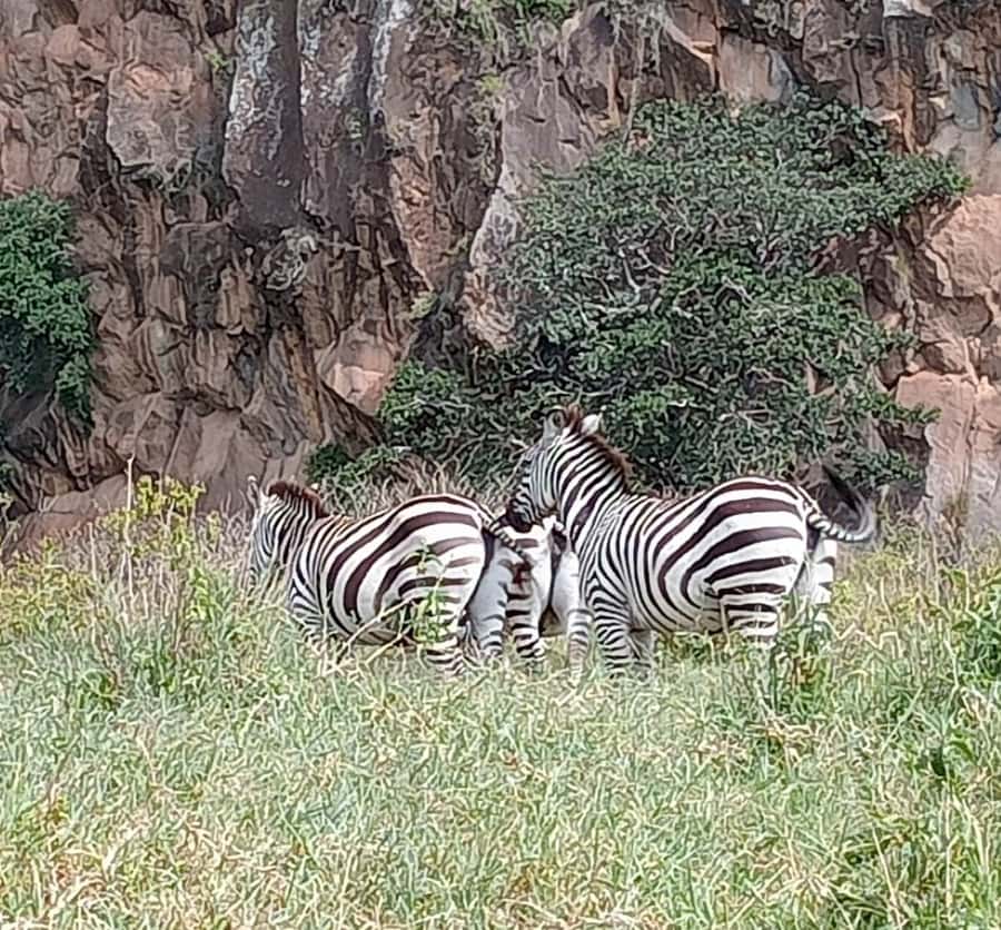 DAY TOUR- LAKE NAIVASHA AND HELL'S GATE PARK-WITH PARK FEES - Two hours on a bicycle at Hell’s Gate