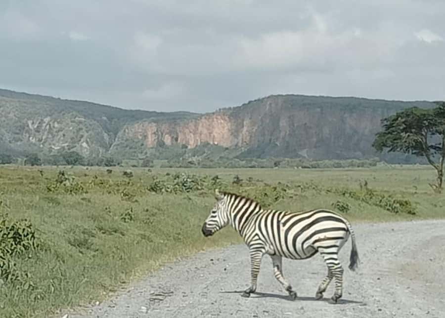 DAY TOUR- LAKE NAIVASHA AND HELL'S GATE PARK-WITH PARK FEES - The 7am drive from Nairobi