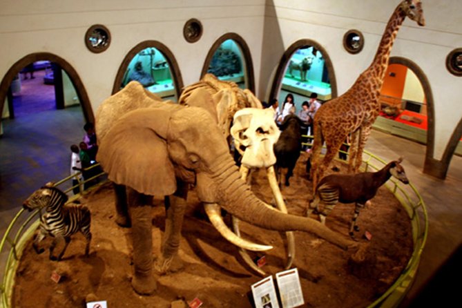 Day Tour Nairobi Museum, Giraffe Centre & Nairobi National Park - Who should book this Nairobi day tour?