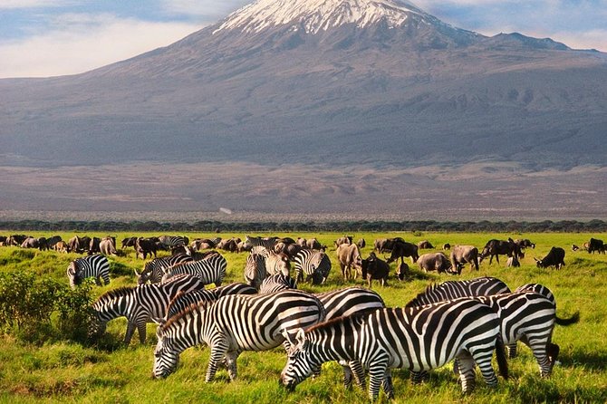 Day Tour Nairobi National Park - Who will get the most from this day