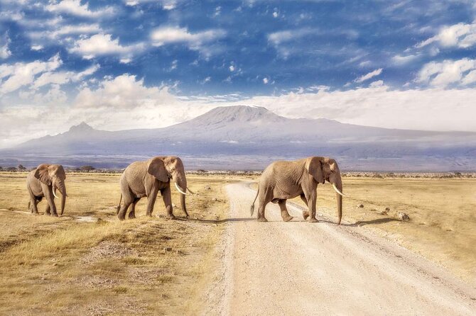 Day Tour to Amboseli National Park - Key points before you book
