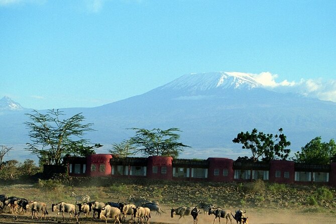 Day Tour to Amboseli National Park - The Amboseli ecosystem and its changing conditions