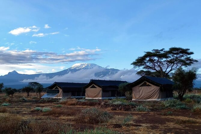 Day Tour To Amboseli National Park From Nairobi - Who will enjoy this day most