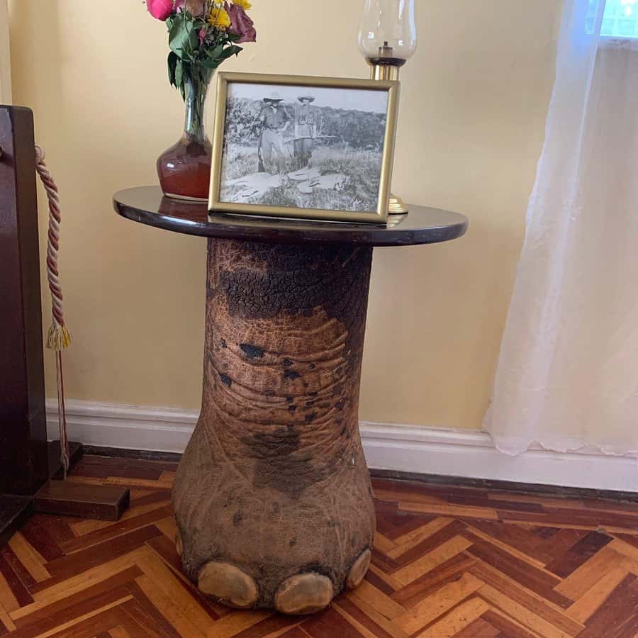 Day Tour to Giraffe Center and Karen Blixen Museum - Useful Things to Know Before You Go