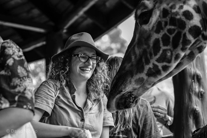 Day tour to Giraffe center and Karen Blixen Nairobi - The elephant nursery question