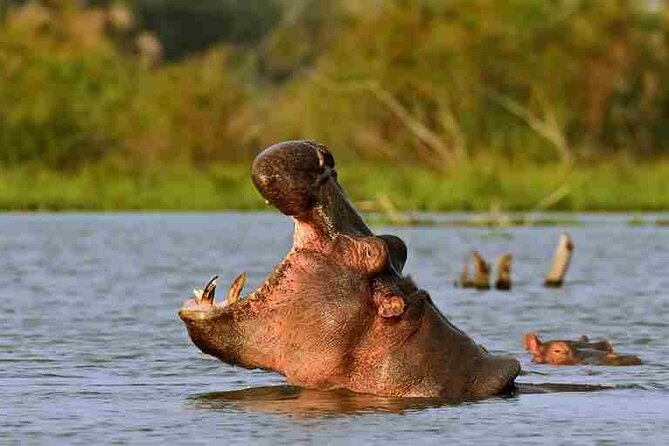 Day tour to Hells Gate, Lake Naivasha and Crescent Island Walk - Lunch at Naivasha Marina Camp
