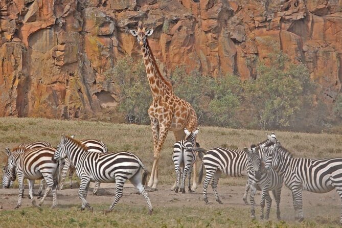Day tour to Hells Gate, Lake Naivasha and Crescent Island Walk - Crescent Island’s wildlife walk