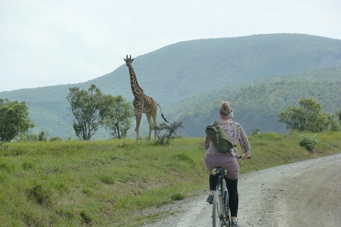 Day tour to Hells Gate, Lake Naivasha and Crescent Island Walk - The return to Nairobi around 5 p.m.