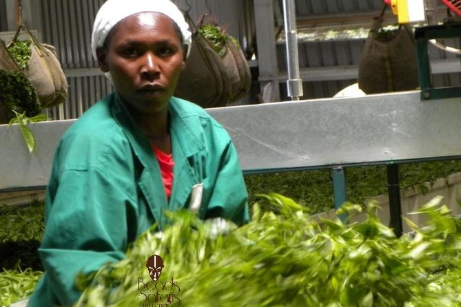 Day Tour To Kiambethu Tea Farm in Limuru - The drive from Nairobi to Limuru