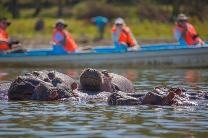 Day Tour to Lake Naivasha, Hell's Gate and Spa - Walking into the gorges