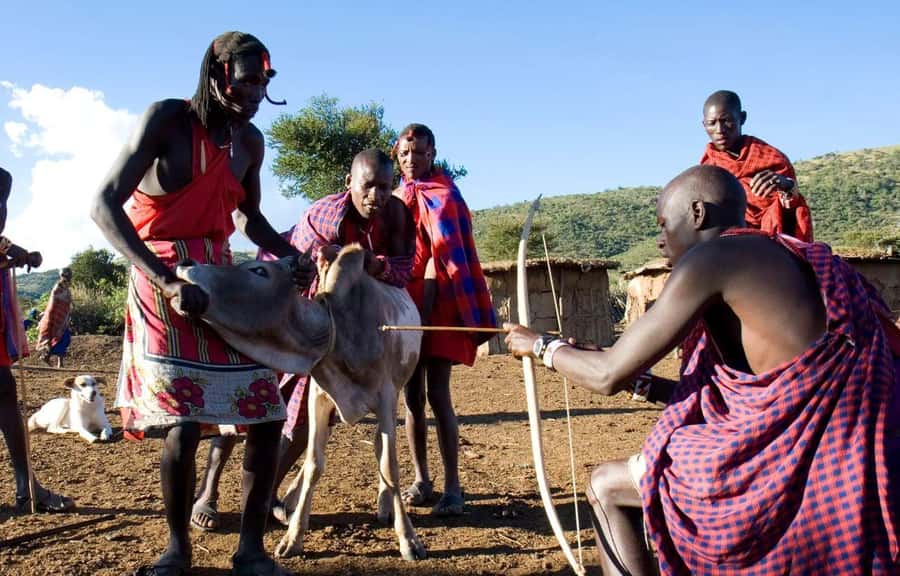 Day Tour to Masai Village From Nairobi - Who will get the most from this visit