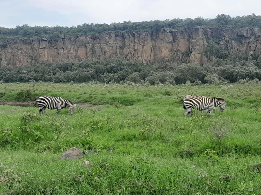 Day tour to Mount Longonot - Why Mount Longonot makes a strong Nairobi day trip