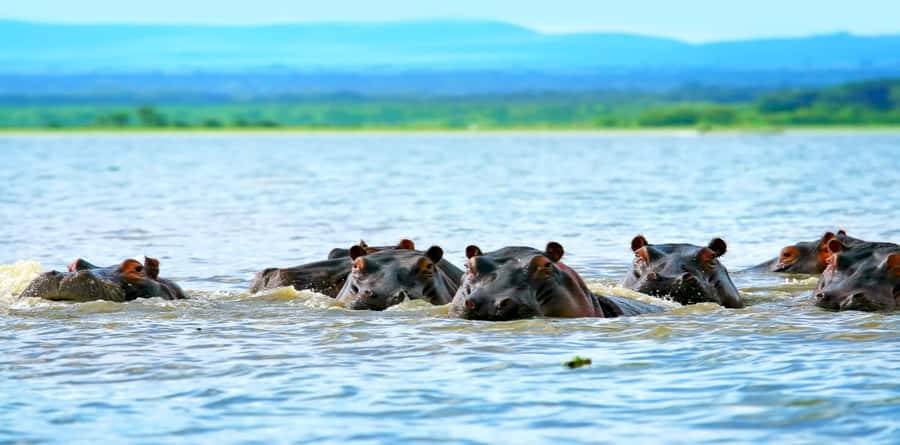 Day Tour To Mount Longonot Park From Nairobi - Who should book this Mount Longonot day?