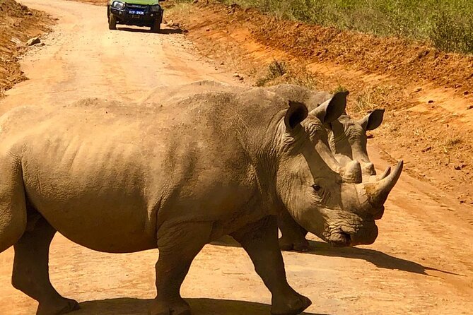 Day Tour to Nairobi National Park and Giraffe Center - What the pop-up roof means for your photos