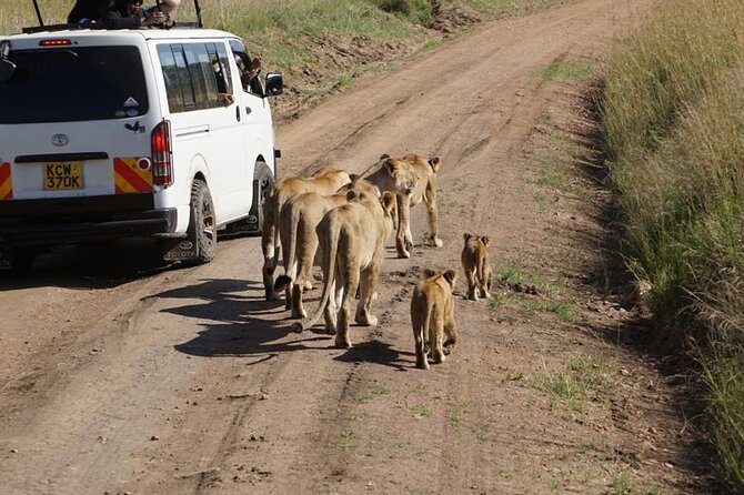 Day Tour to Nairobi National Park and Giraffe Center - Who will get the most from this tour?