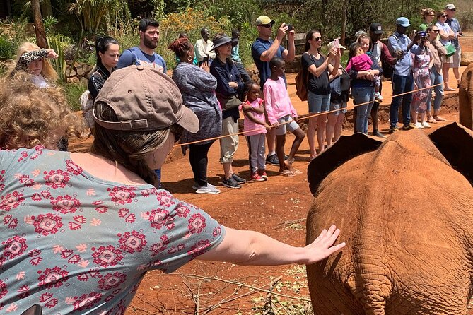 Day Tour to Nairobi national park, Elephants, and Giraffe Center - What the transport service really provides