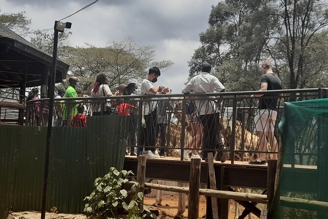 Day Tour to Nairobi national park, Elephants, and Giraffe Center - Timing questions worth asking before you pay