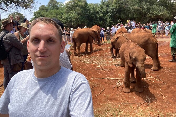 Day Tour to Nairobi national park, Elephants, and Giraffe Center - Sheldrick Wildlife Trust Nursery at 11 a.m.