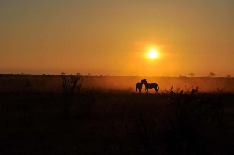 DAY TOUR TO TSAVO EAST NATIONAL PARK FROM MOMBASA/DIANI - Is $355 a fair price?