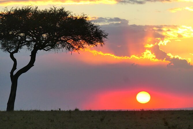 Day Tour to Tsavo East National Park from Mombasa or Diani - Practical advice before you book