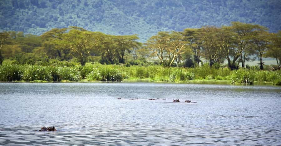 Day Trip: Hell's Gate Bike Ride & Lake Naivasha Boat Ride - Lunch near the park, with a price warning