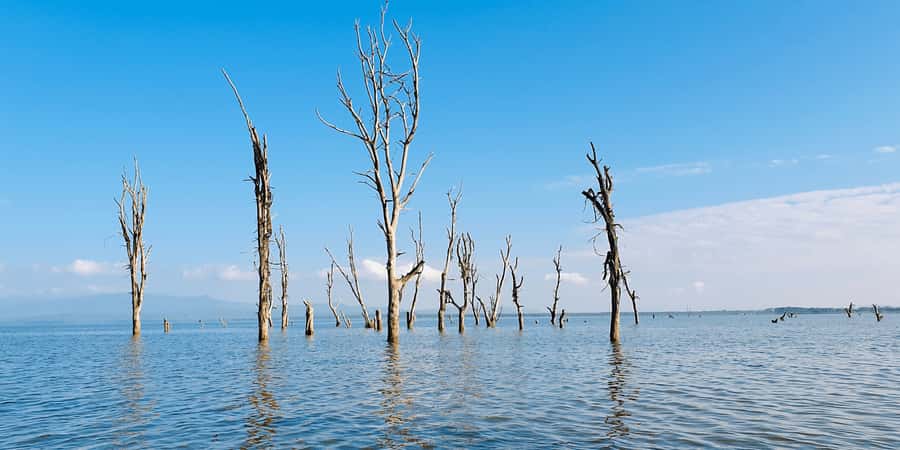 Day Trip: Hell's Gate Bike Ride & Lake Naivasha Boat Ride - Lake Naivasha by boat, hippos and birdlife
