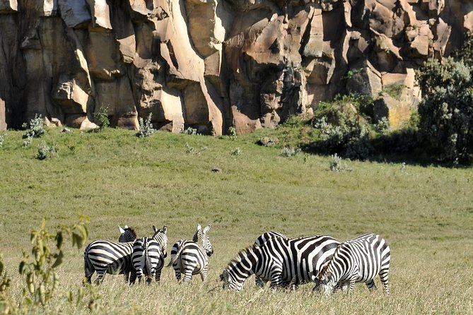Day Trip To Crescent Island And Hells Gate National Park - Who should book this experience