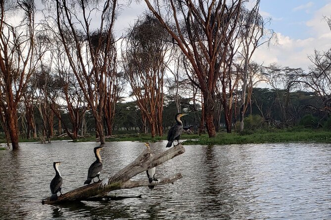 Day trip to Hells Gate National Park with boat ride on Lake Naivasha - Choosing a bike and riding toward the gorge