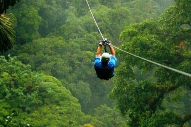 Day Trip to Kereita Forest and Ziplining - Walking from Carbacid Forest Gate to the spring