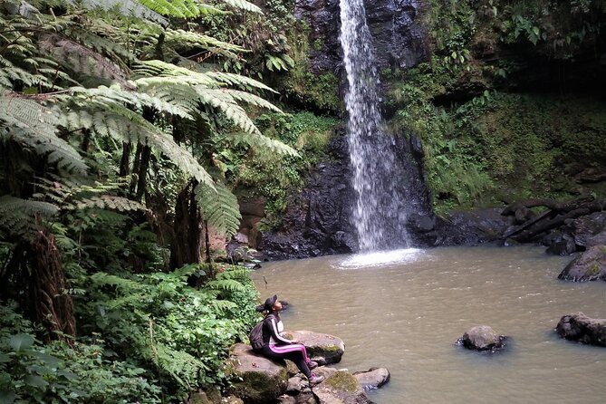 Day Trip to Kereita Forest and Ziplining - Horse riding, archery, and the other activity choices