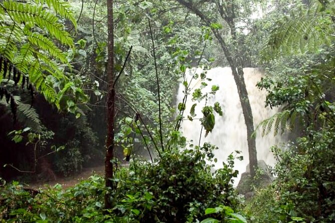 Day Trip to Kereita Forest and Ziplining - Is $99 a fair price?