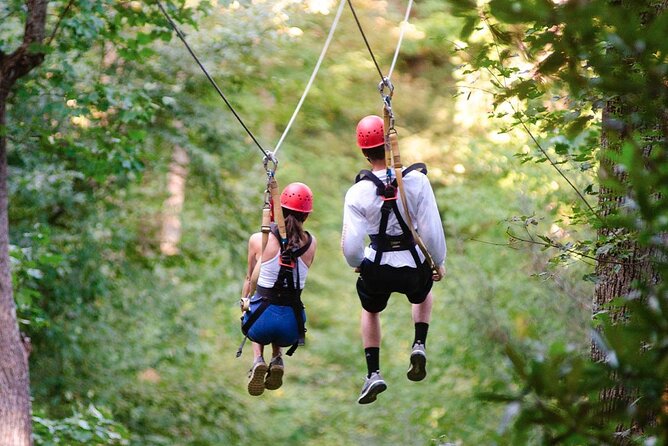 Day Trip to Kereita Forest and Ziplining - Elephant Pool and the route to Kereita Waterfall