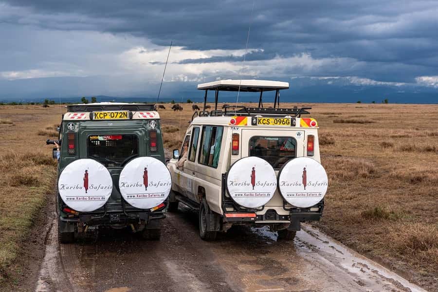 Day Trip to Lake Nakuru National Park from Nairobi - Who will get the most from this day trip