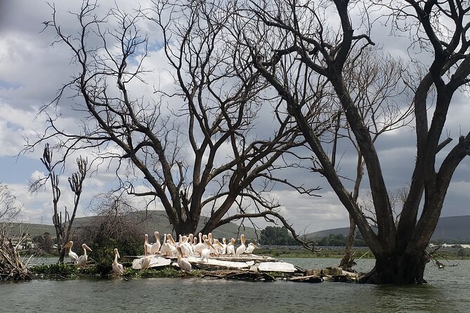 Day Trip to Mt. Longonot with Boat Ride in Lake Naivasha - The long return to Nairobi