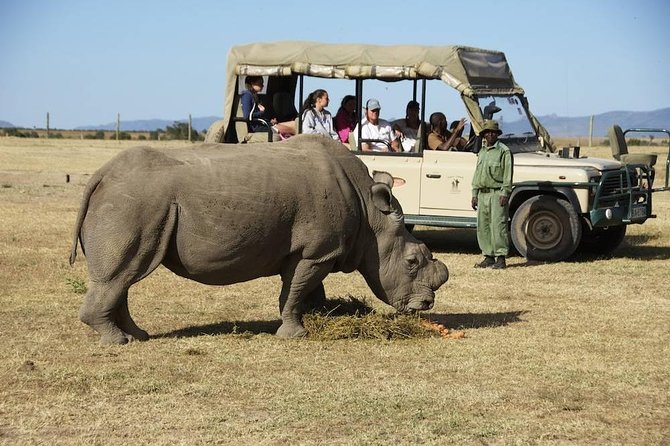 Day trip to Ol Pejeta conservancy from Nairobi - The Drive From Nairobi and the Equator Stop